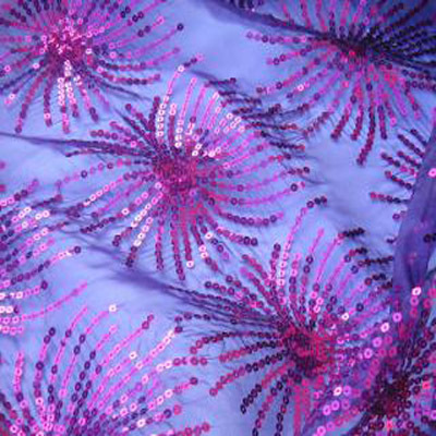 Purple Destiny Overlay