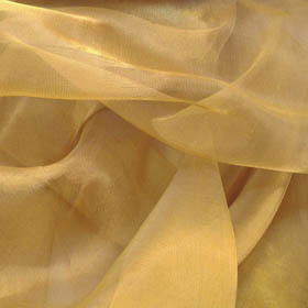 Gold Organza Overlay