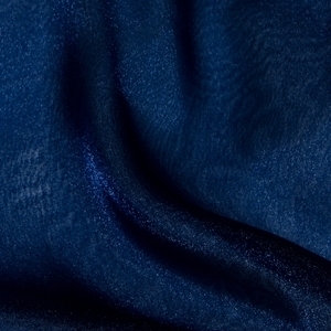 Navy Organza Overlay