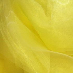 Yellow Organza Overlay