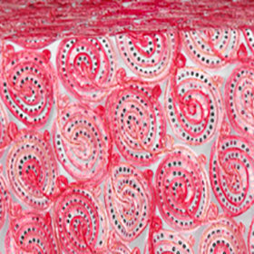 Red Sequined Ribbons Overlay
