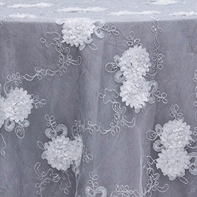 White Vintage Veil Overlay