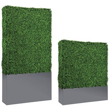 Hedge Wall